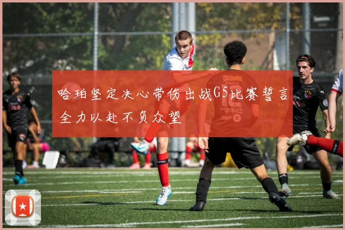 哈珀坚定决心带伤出战G5比赛誓言全力以赴不负众望