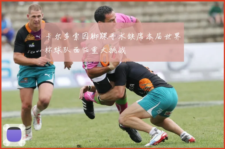 卡尔多索因脚踝手术缺席本届世界杯球队面临重大挑战
